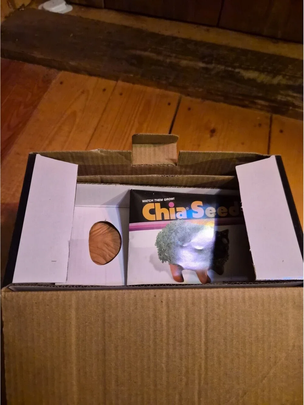 Chia star wars